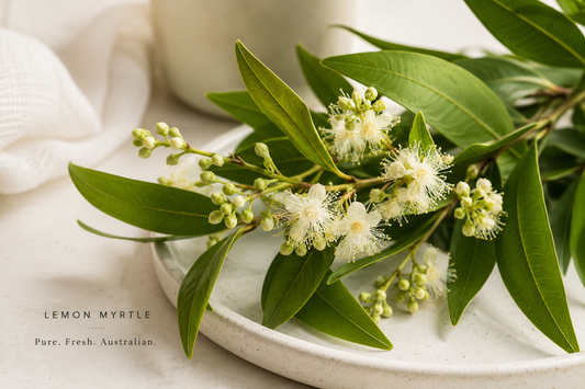 What Is Lemon Myrtle? Australia's Best-Kept Cleaning Secret